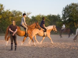 WEB_IMG-7152
